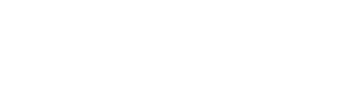 Tyche Connect logo